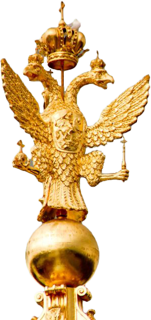 Orzel